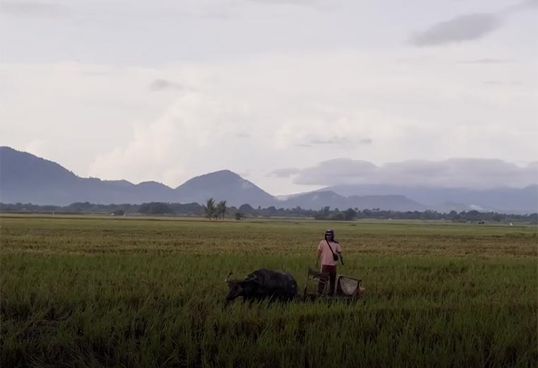 <b>VIDEO</b> – Straw Innovations: Enhanced Rice Straw Biogas